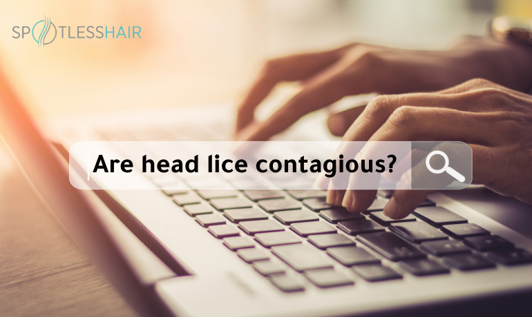 Are head lice contagious? And how are head lice transmitted?